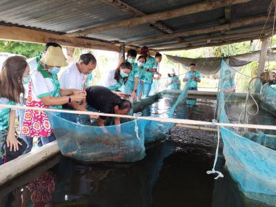 โครงการศึกษาดูงานสร้างอาชีพเสริมเพิ่มรายได้ ปี 2565