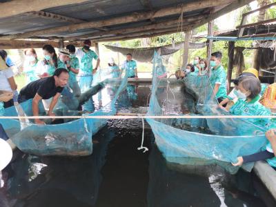 โครงการศึกษาดูงานสร้างอาชีพเสริมเพิ่มรายได้ ปี 2565